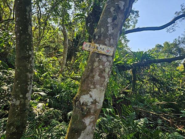 2025-02-11新店雙坑山(1419)