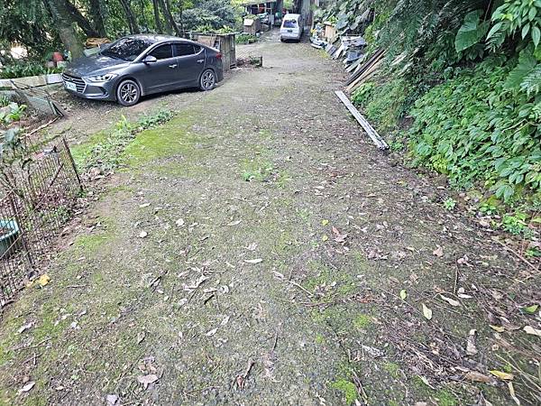 2025-02-11新店雙坑山(1419)