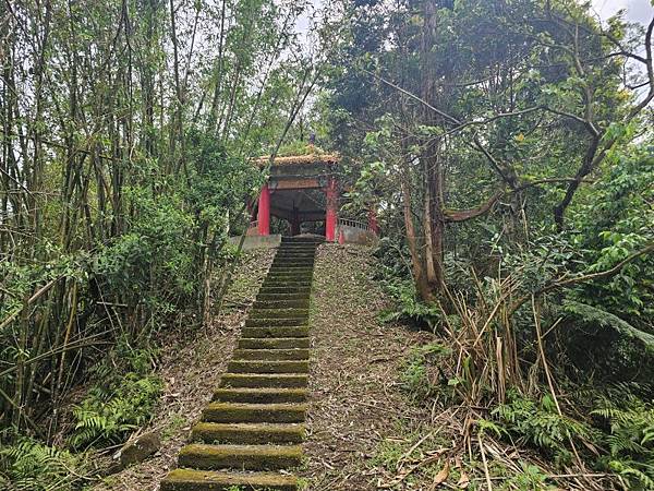 2025-04-03雲海山縱走烏窟子山(1411)