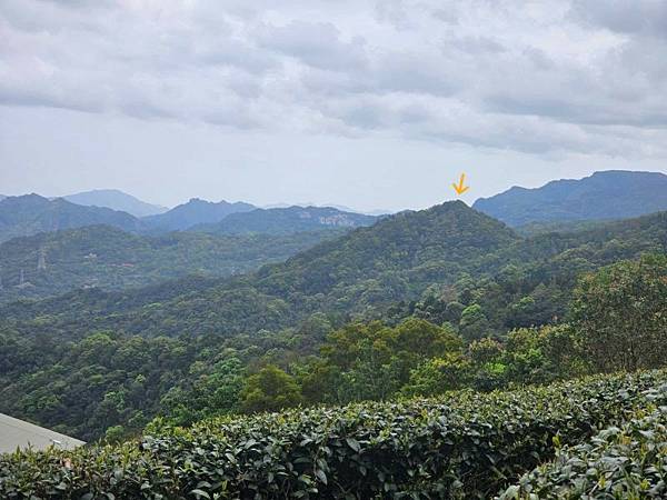 2025-04-03雲海山縱走烏窟子山(1411)