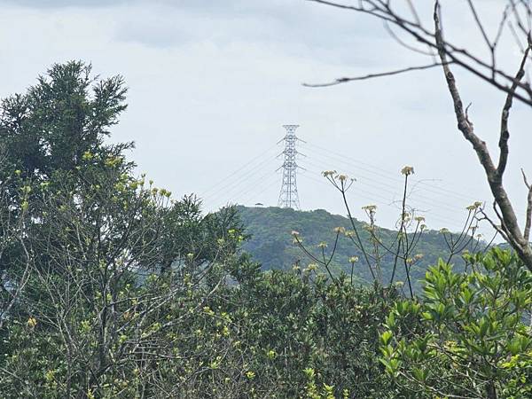 2025-04-03雲海山縱走烏窟子山(1411)