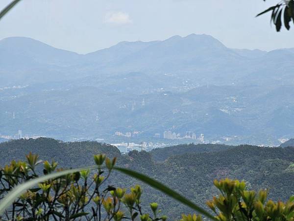 2025-04-03雲海山縱走烏窟子山(1411)