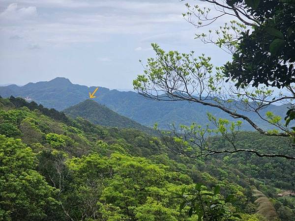 2025-04-03雲海山縱走烏窟子山(1411)