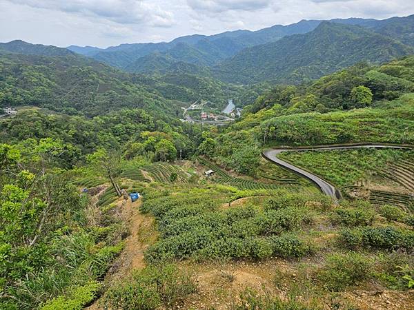 2025-04-03雲海山縱走烏窟子山(1413)
