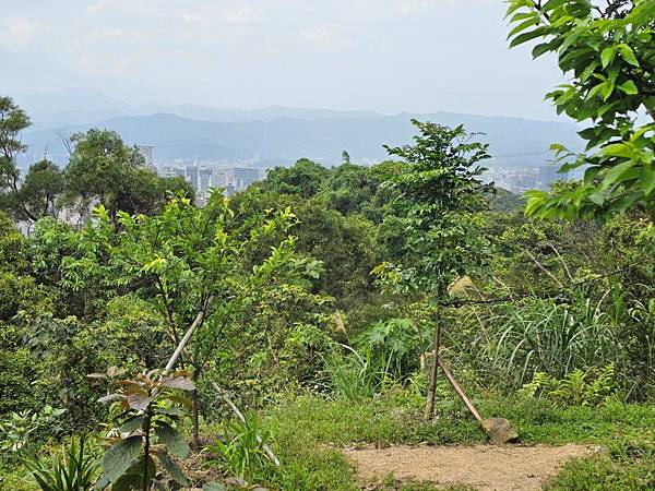 2025-04-17金興尖(1416)