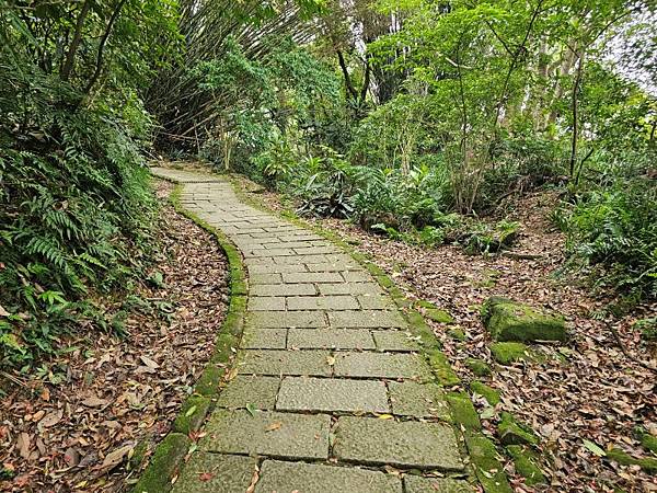 2025-04-17金興尖(1416)