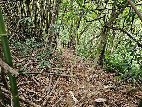 2025-04-17金興尖(1416)