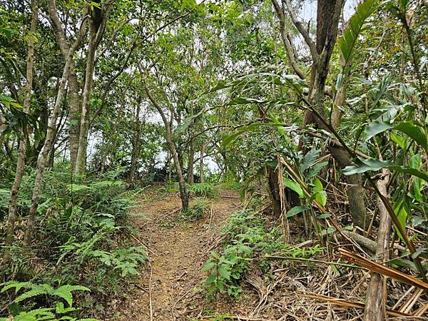 2025-04-17金興尖(1416)