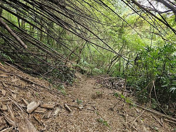 2025-04-17金興尖(1416)