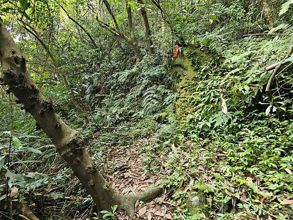 2025-04-17金興尖(1416)