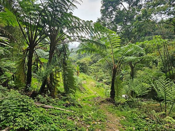 2025-04-17金興尖(1416)