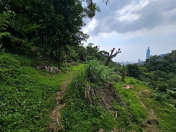 2025-04-17金興尖(1416)