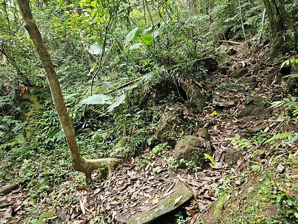 2025-04-17金興尖(1416)