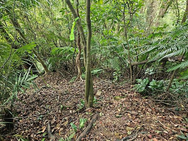 2025-04-17金興尖(1416)