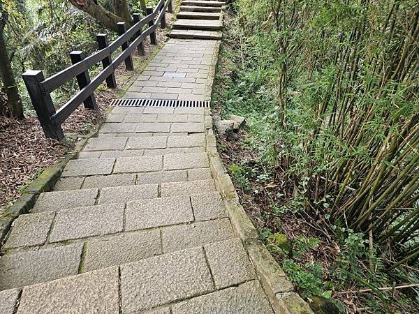 2025-04-17金興尖(1416)