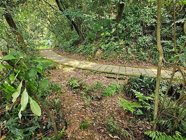 2025-04-17金興尖(1416)