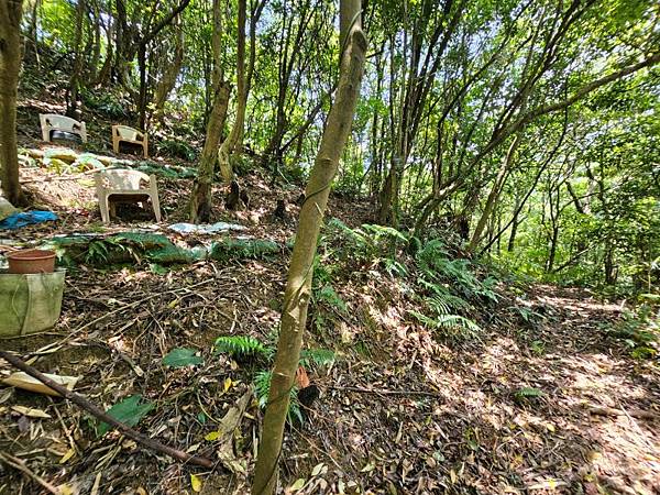 2025-04-19聖人崙(1417)