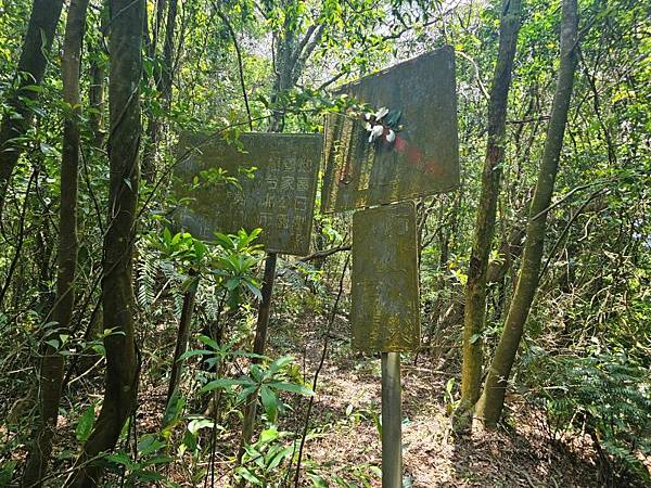 2025-04-19聖人崙(1417)