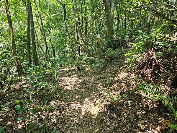 2025-04-19聖人崙(1417)