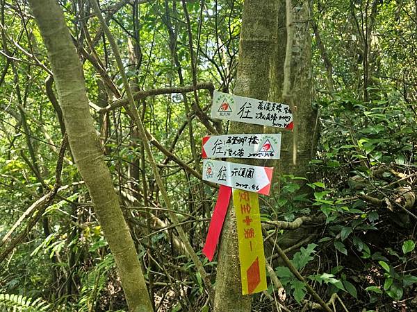 2025-04-19聖人崙(1417)