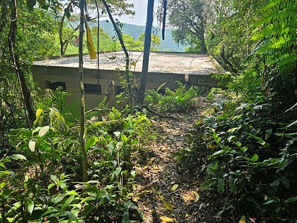 2025-04-19聖人崙(1417)