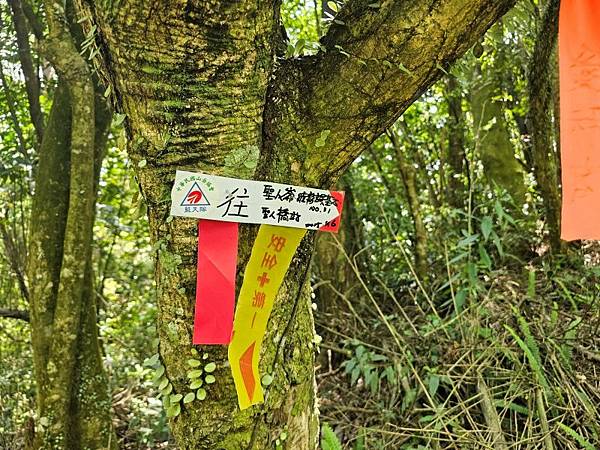 2025-04-19聖人崙(1417)