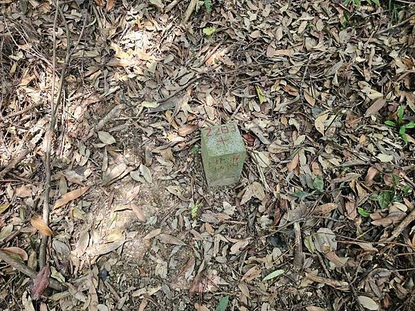 2025-04-19聖人崙(1417)