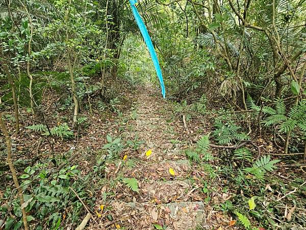 2025-04-19聖人崙(1417)