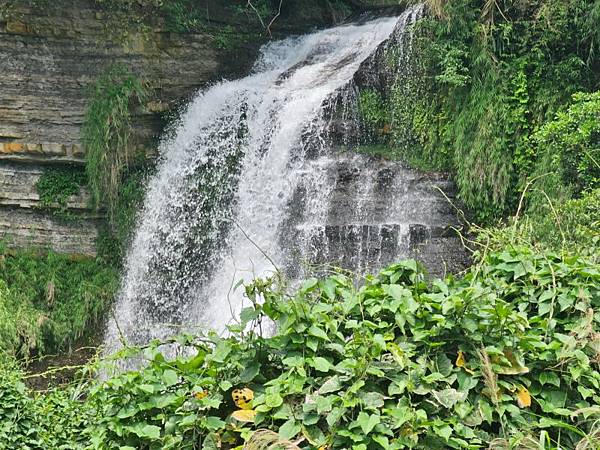 2025-04-19聖人崙(1417)