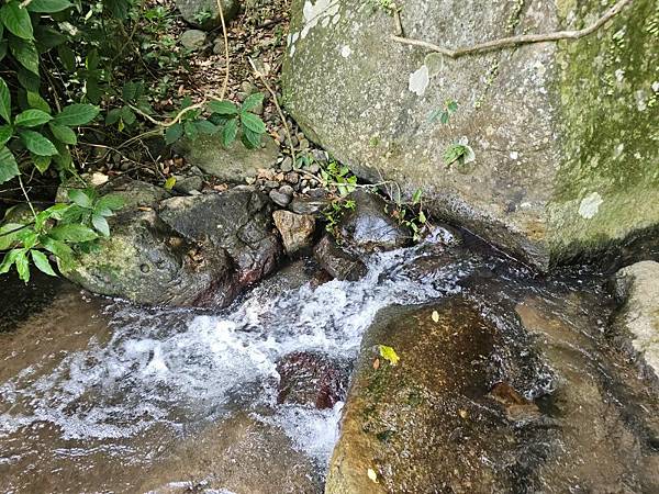 2025-04-19聖人崙(1417)