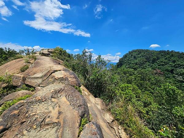 2025-08-20淡蘭文化山徑-樹梅古道