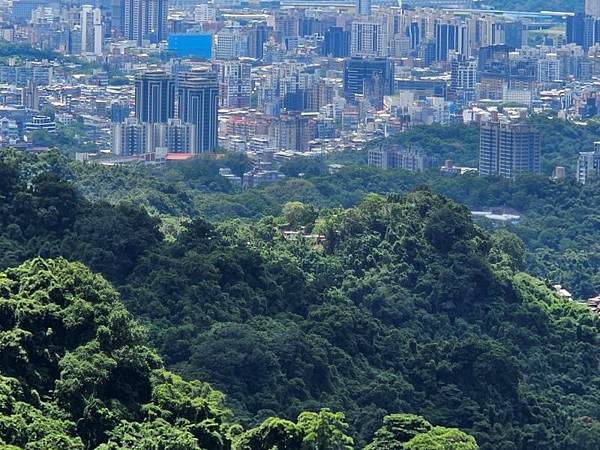 2025-08-20淡蘭文化山徑-樹梅古道