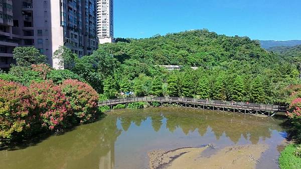 DJI_20251012103156_0003_D - Trim - Trim_2025-10-25_15-05-41_截图.jpg