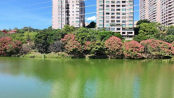 DJI_20251012113143_0007_D - Trim_2025-10-25_15-04-01_截图.jpg