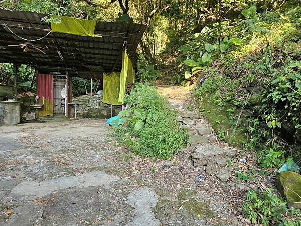 2025-10-14木柵柑仔坑山(1437)