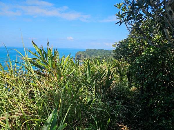 2025-11-07海園古道O走