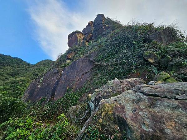 2025-11-07海園古道O走