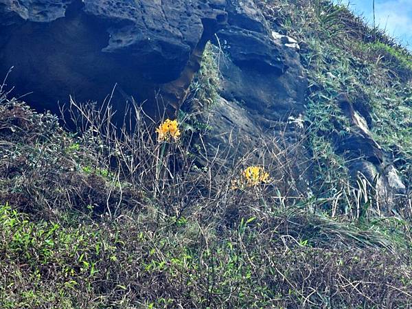 2025-11-07海園古道O走