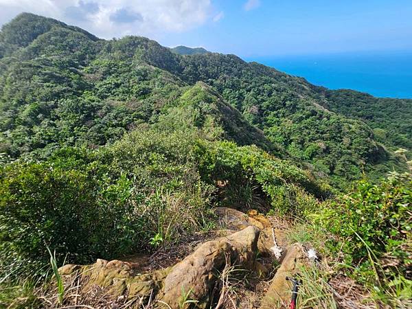 2025-11-07海園古道O走