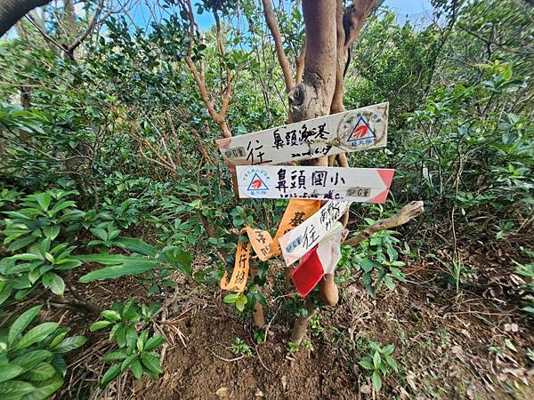 2025-11-07海園古道O走