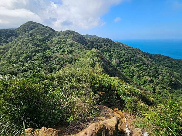 2025-11-07海園古道O走