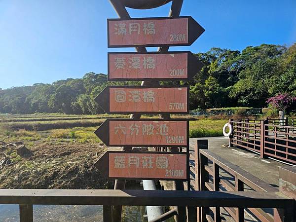 2025-11-22龍潭大池繞一圈