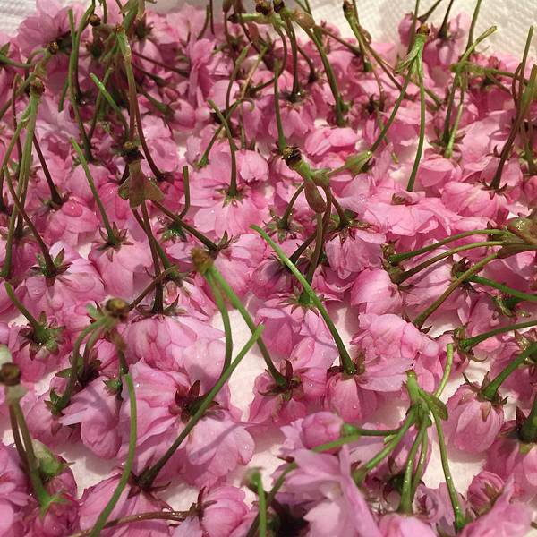 IMG_5285.JPG IMG_5285.JPG