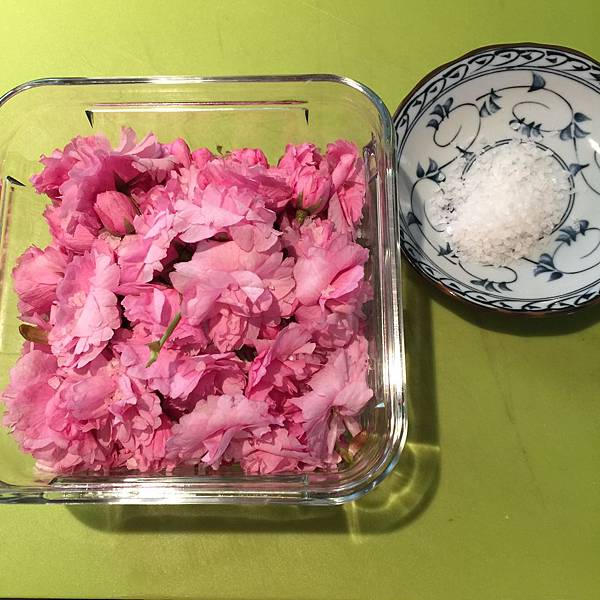 IMG_5364.JPG IMG_5364.JPG