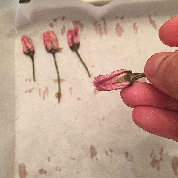 IMG_5469.JPG IMG_5469.JPG