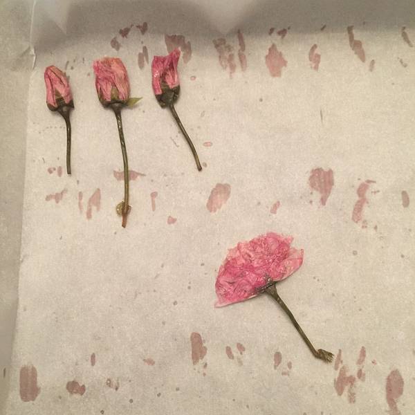 IMG_5468.JPG IMG_5468.JPG