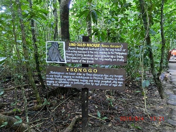 104.8288巴拉望_2412