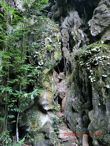 104.8288巴拉望_4224