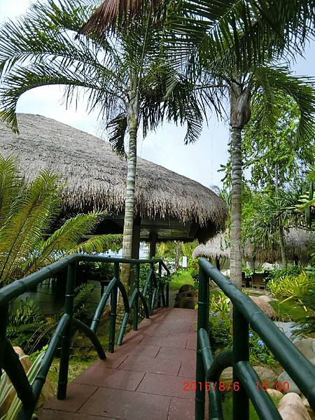 104.8288巴拉望_5062