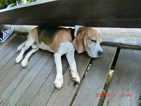 104.8288巴拉望_4573